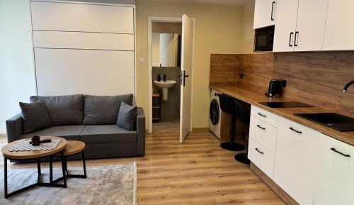 One-Bedroom Apartment with Balcony