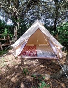 Tent