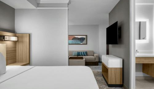 One King Bed Suite, 1 Bedroom Suite, 1 King, Sofa bed (Mobility &amp; Hearing Accessible w/ Tub)