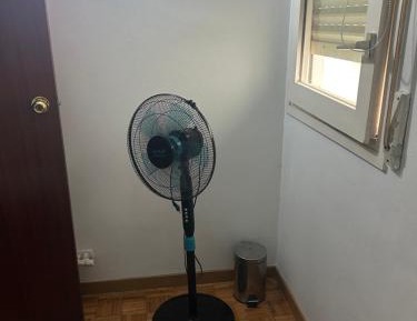Budget Single Room