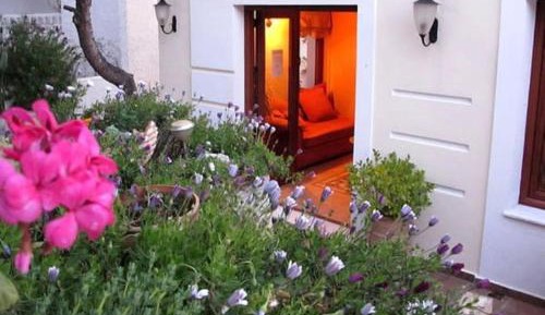 Studio with Garden View