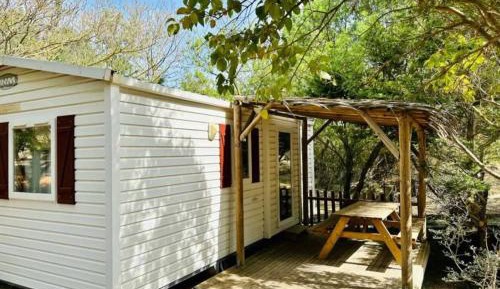 Mobile Home 6
