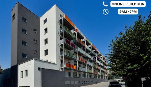 Economy One-Bedroom Apartment