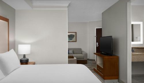 King Studio with Sofa Bed