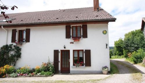 Holiday Home (10 Adults)
