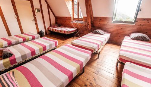 Bed in 6-Bed Mixed Dormitory Room