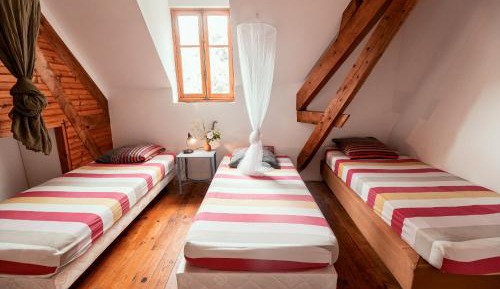 Bed in 4-Bed Mixed Dormitory Room