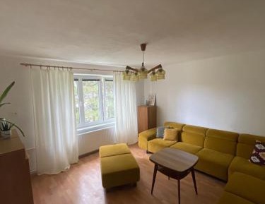 Three-Bedroom Apartment with View