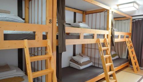 Bunk Bed in Mixed Dormitory Room