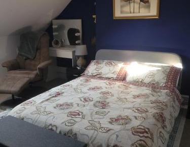 Standard Suite