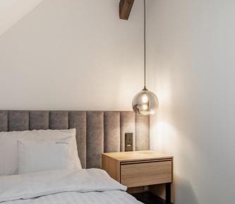 Deluxe One-Bedroom Apartment