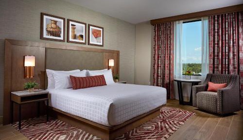Deluxe King Room