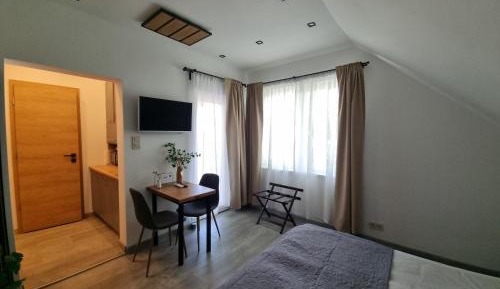 One-Bedroom Apartment with Balcony and Mountain View  