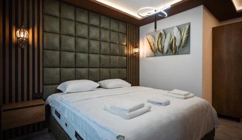 Deluxe One-Bedroom Apartment