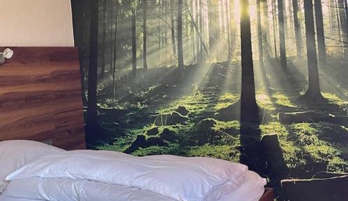 Single Room with Shower