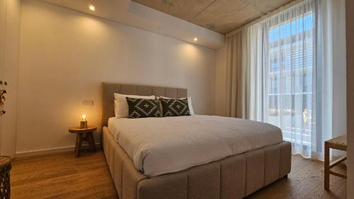 One-Bedroom Apartment with Terrace
