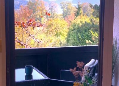One-Bedroom Apartment with Balcony and Mountain View  