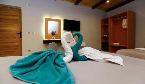 Double Room with Mountain View