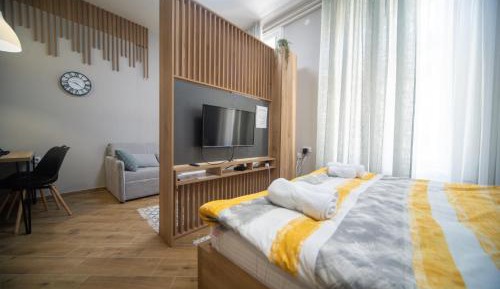 Studio Apartment