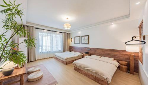 Deluxe Double or Twin Room with City View