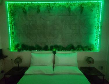 Queen Room with Spa Bath