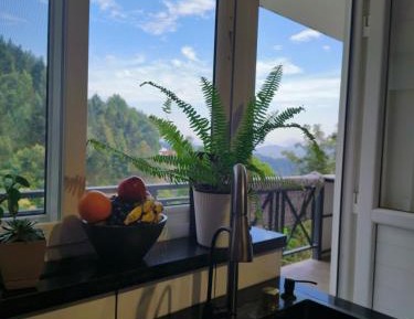 Deluxe Studio