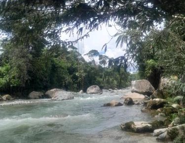 Standard Double Room with Shared Bathroom