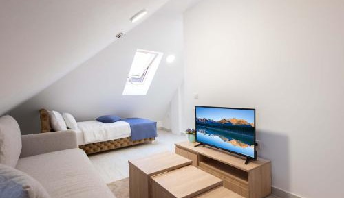 Budget Single Room