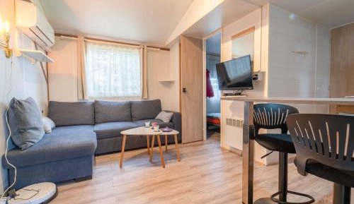 Mobile Home