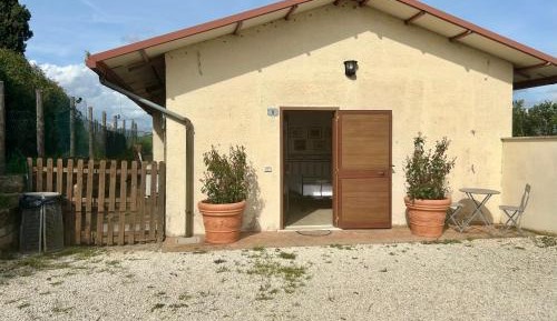 Studio with Garden View