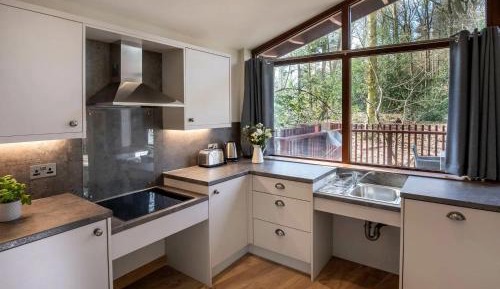 Silver Birch Wheelchair-adapted Cabin (pet-friendly)