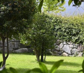 Apartment with Garden View