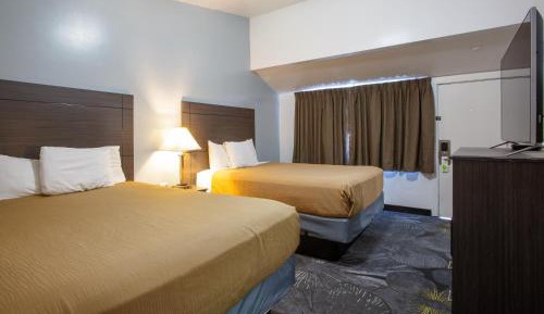Queen Room with Three Queen Beds - Non-Smoking
