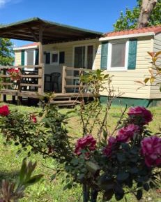 Mobile Home