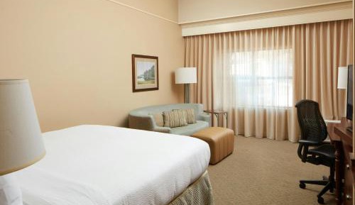 Superior King Room with Sofa Bed