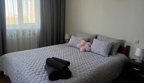 One-Bedroom Apartment with City View