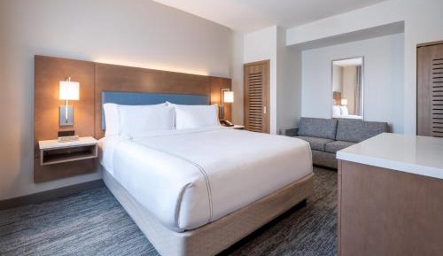 One-Bedroom King Suite