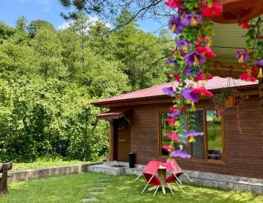 Family Bungalow