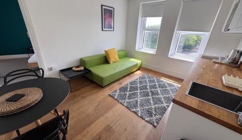 Deluxe One-Bedroom Apartment with City View