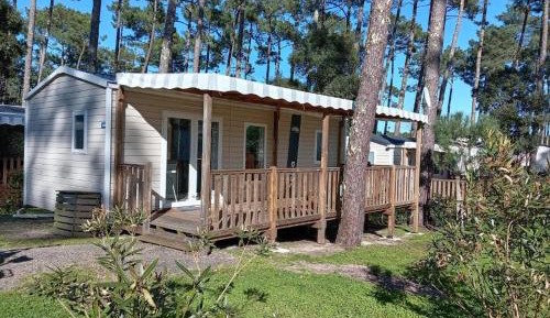 Mobile Home