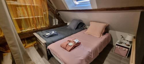 4-Bed Mixed Dormitory Room