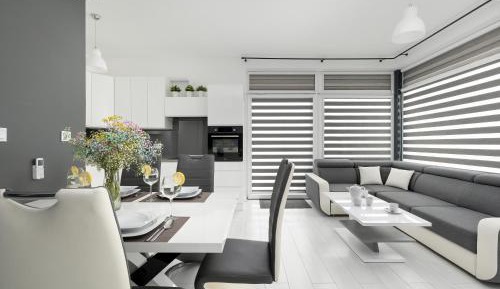 Deluxe One-Bedroom Apartment
