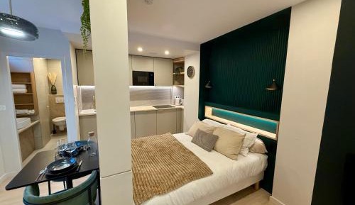 Studio Apartment