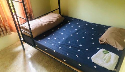 Bunk Bed in Mixed Dormitory Room