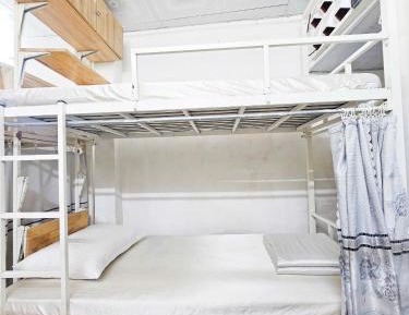 Bunk Bed in Mixed Dormitory Room