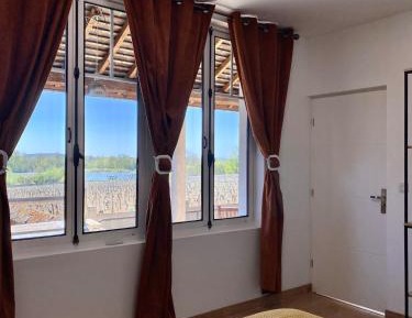 Two-Bedroom Apartment with River View