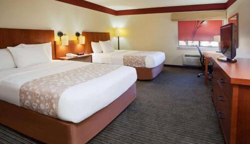 Double Room with Two Double Beds