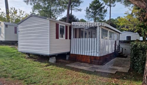 Mobile Home