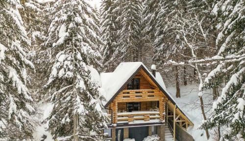Two-Bedroom Chalet