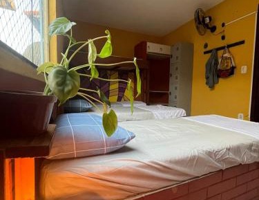 Bed in 6-Bed Female Dormitory Room